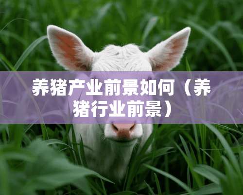 养猪产业前景如何（养猪行业前景）