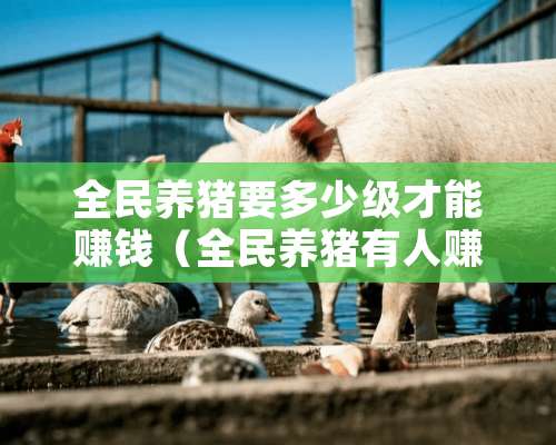 全民养猪要多少级才能赚钱（全民养猪有人赚到钱吗）