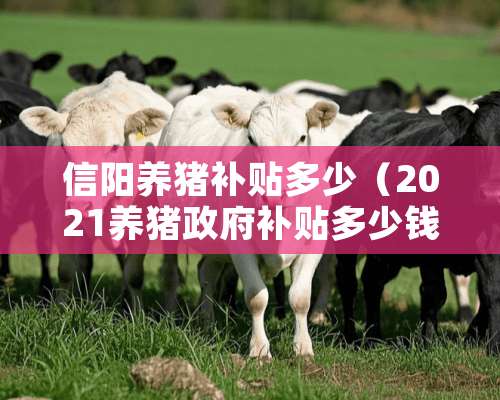 信阳养猪补贴多少（2021养猪政府补贴多少钱）