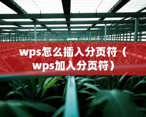 wps怎么插入分页符（wps加入分页符）