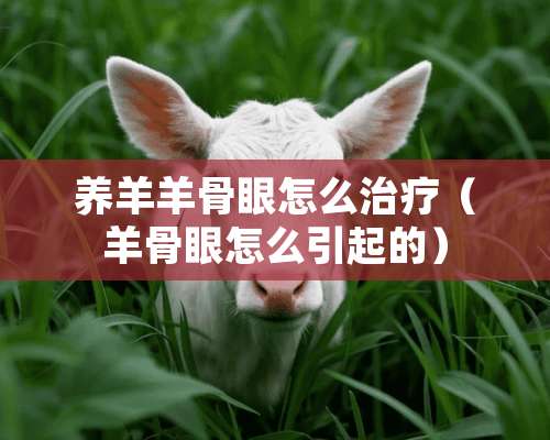 养羊羊骨眼怎么治疗（羊骨眼怎么引起的）