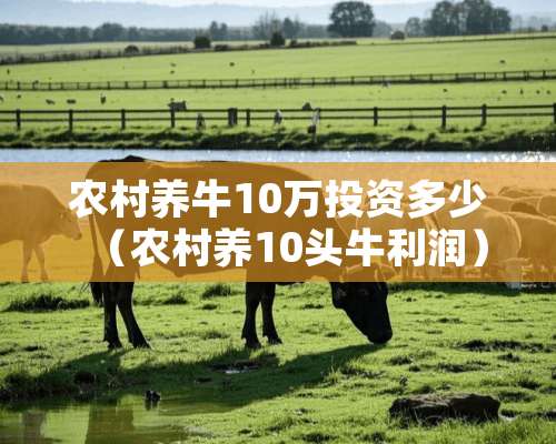 农村养牛10万投资多少（农村养10头牛利润）