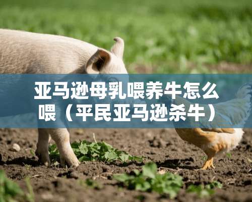 亚马逊母乳喂养牛怎么喂（平民亚马逊杀牛）