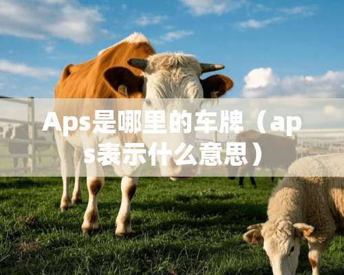 Aps是哪里的车牌（aps表示什么意思）