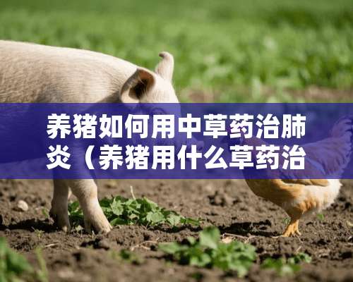 养猪如何用中草药治肺炎（养猪用什么草药治病）