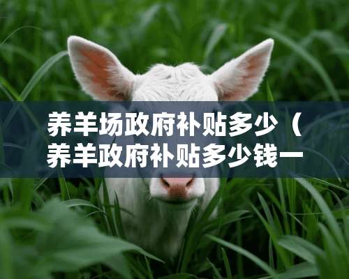 养羊场政府补贴多少（养羊政府补贴多少钱一只）