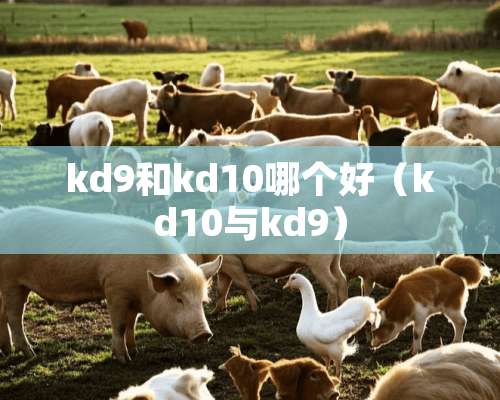 kd9和kd10哪个好（kd10与kd9）