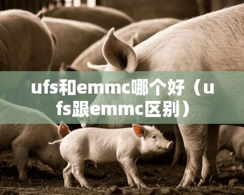 ufs和emmc哪个好（ufs跟emmc区别）