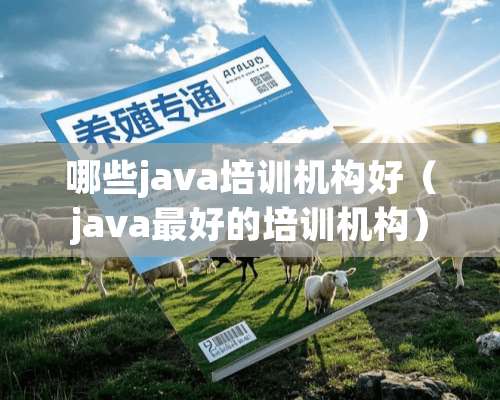 哪些java培训机构好（java最好的培训机构）