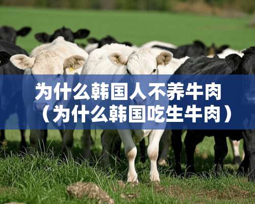 为什么韩国人不养牛肉（为什么韩国吃生牛肉）