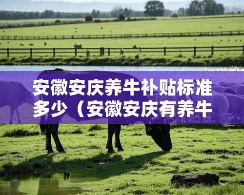 安徽安庆养牛补贴标准多少（安徽安庆有养牛场吗）