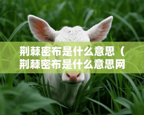 荆棘密布是什么意思（荆棘密布是什么意思网络用语）