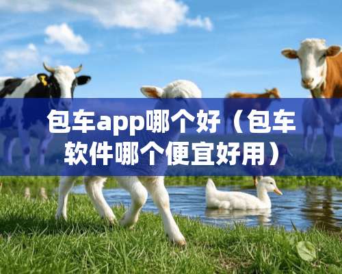 包车app哪个好（包车软件哪个便宜好用）