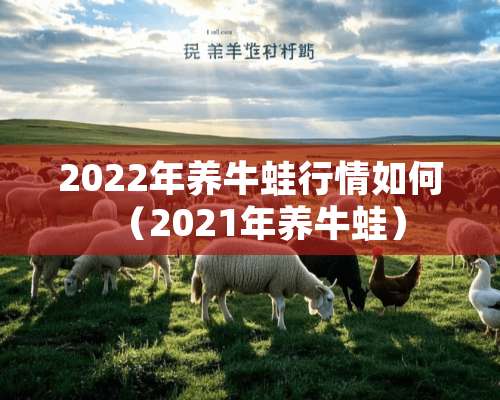 2022年养牛蛙行情如何（2021年养牛蛙）