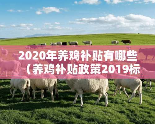 2020年养鸡补贴有哪些（养鸡补贴政策2019标准）