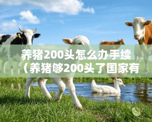 养猪200头怎么办手续（养猪够200头了国家有补助吗）