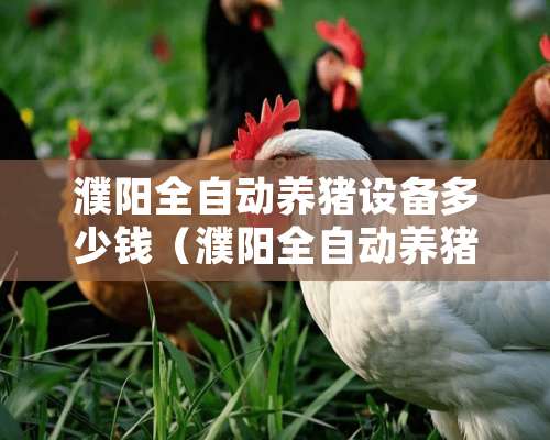 濮阳全自动养猪设备多少钱（濮阳全自动养猪设备多少钱一台）