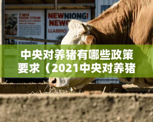 中央对养猪有哪些政策要求（2021中央对养猪有哪些政策）