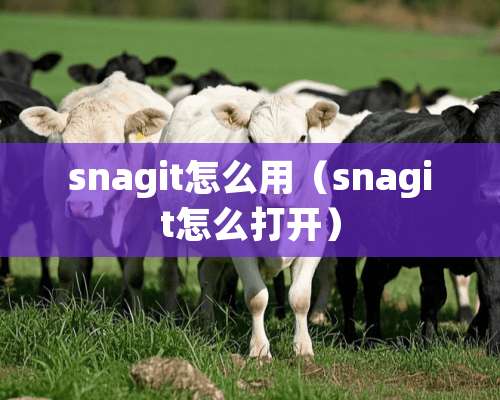 snagit怎么用（snagit怎么打开）