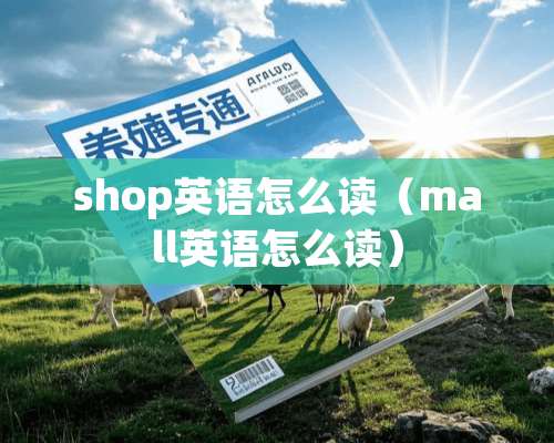 shop英语怎么读（mall英语怎么读）