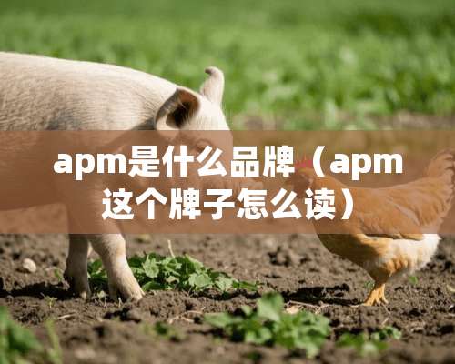 apm是什么品牌（apm这个牌子怎么读）