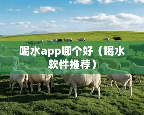 喝水app哪个好（喝水软件推荐）