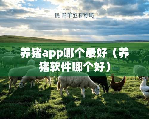 养猪app哪个最好（养猪软件哪个好）