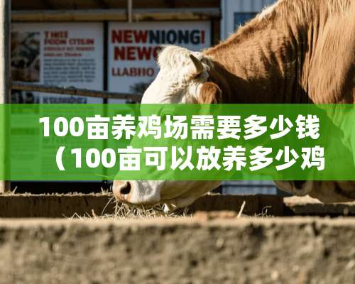 100亩养鸡场需要多少钱（100亩可以放养多少鸡）