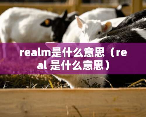 realm是什么意思（real 是什么意思）