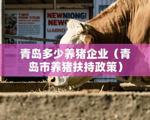 青岛多少养猪企业（青岛市养猪扶持政策）