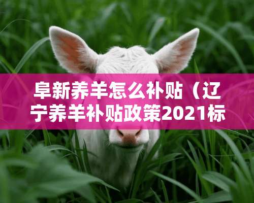 阜新养羊怎么补贴（辽宁养羊补贴政策2021标准）