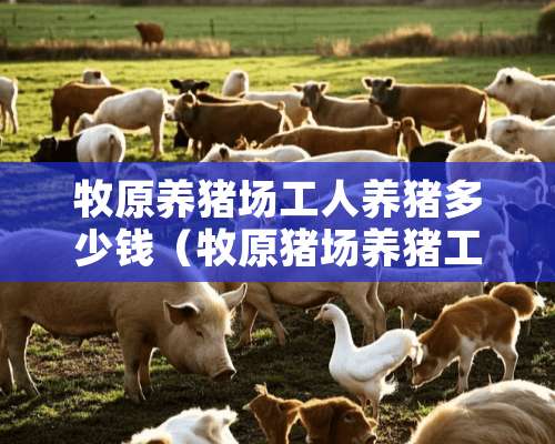 牧原养猪场工人养猪多少钱（牧原猪场养猪工人累吗）