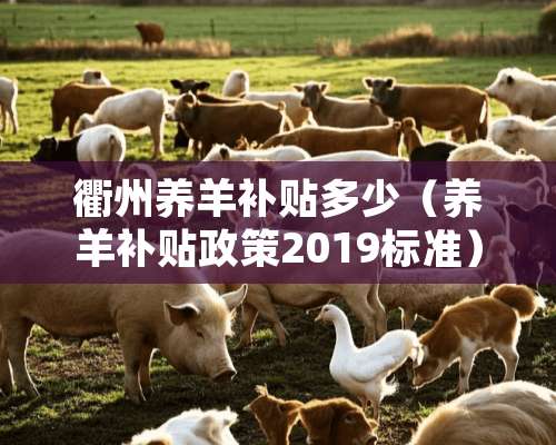 衢州养羊补贴多少（养羊补贴政策2019标准）