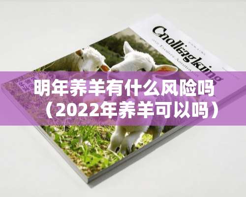 明年养羊有什么风险吗（2022年养羊可以吗）