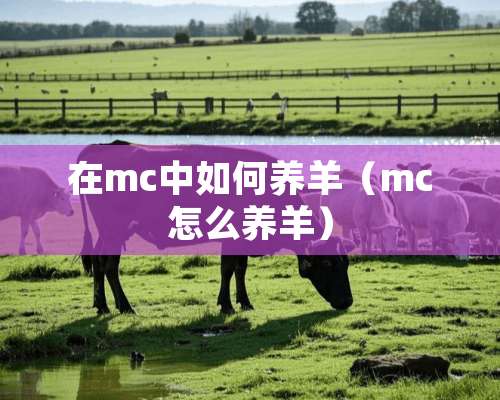 在mc中如何养羊（mc怎么养羊）