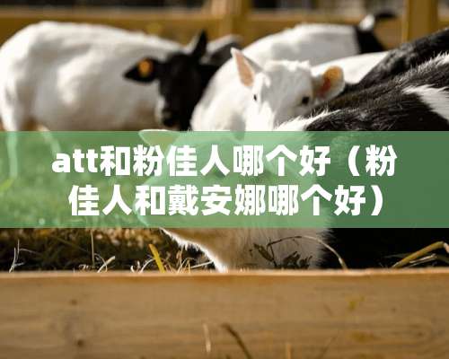 att和粉佳人哪个好（粉佳人和戴安娜哪个好）