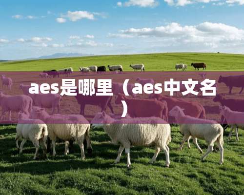 aes是哪里（aes中文名）