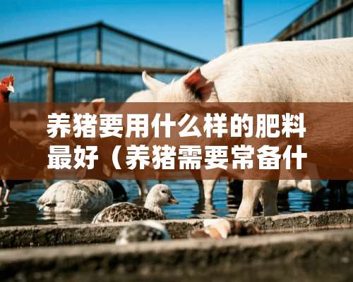 养猪要用什么样的肥料最好（养猪需要常备什么药）