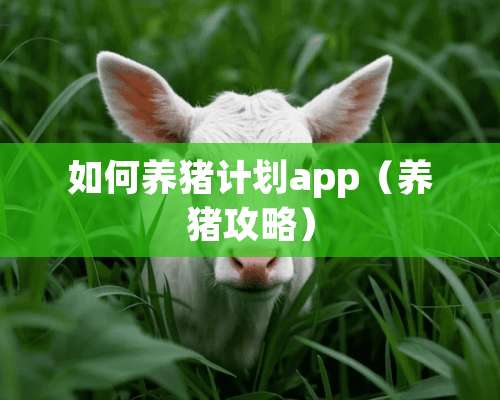 如何养猪计划app（养猪攻略）