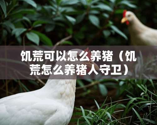 饥荒可以怎么养猪（饥荒怎么养猪人守卫）