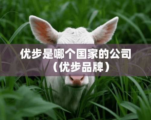 优步是哪个国家的公司（优步品牌）