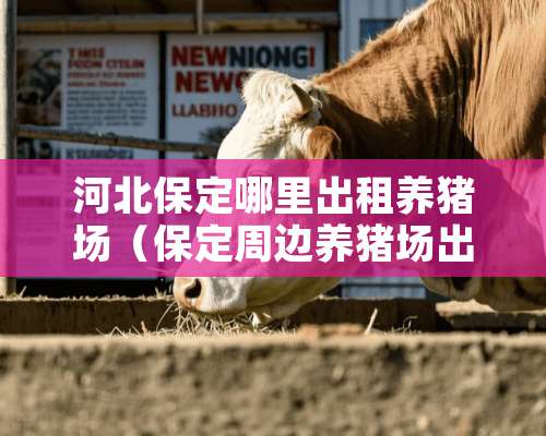 河北保定哪里出租养猪场（保定周边养猪场出租最新信息）