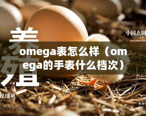 omega表怎么样（omega的手表什么档次）