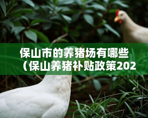 保山市的养猪场有哪些（保山养猪补贴政策2020标准）