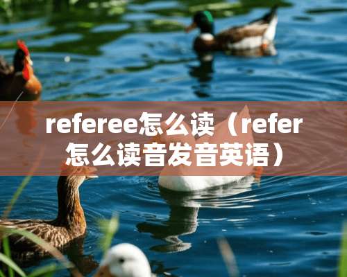 referee怎么读（refer怎么读音发音英语）