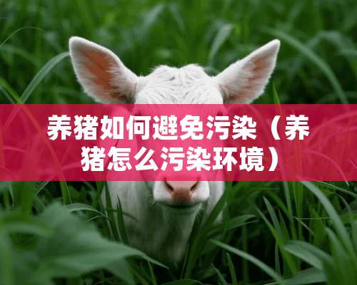 养猪如何避免污染（养猪怎么污染环境）