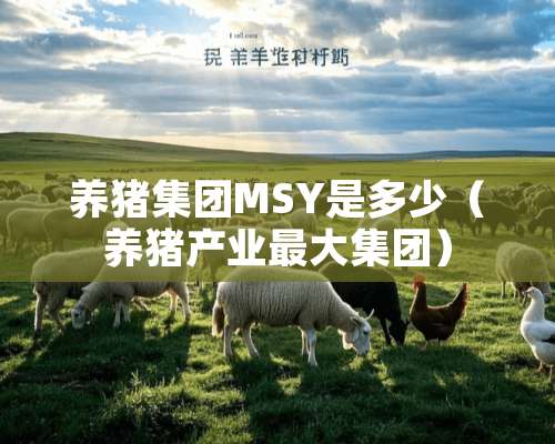 养猪集团MSY是多少（养猪产业最大集团）