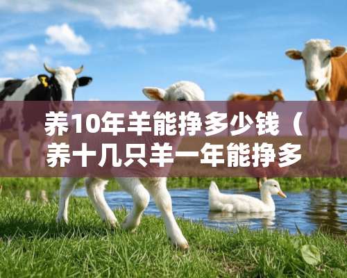 养10年羊能挣多少钱（养十几只羊一年能挣多少钱）