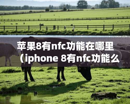 苹果8有nfc功能在哪里（iphone 8有nfc功能么）