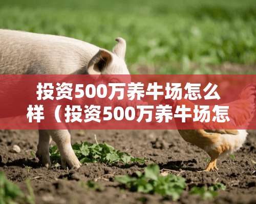 投资500万养牛场怎么样（投资500万养牛场怎么样啊）